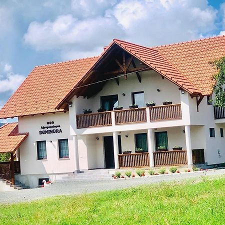 Agropensiunea Duminora Lăschia Esterno foto