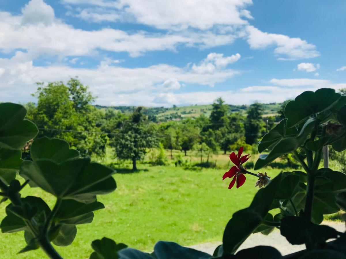 Agropensiunea Duminora Lăschia Esterno foto